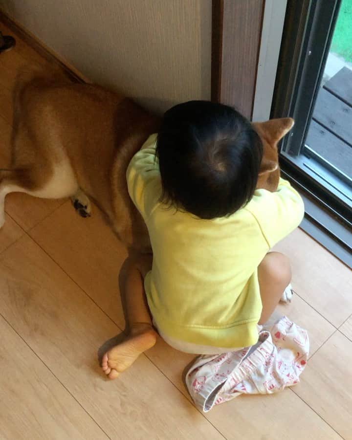 舞名里音のインスタグラム