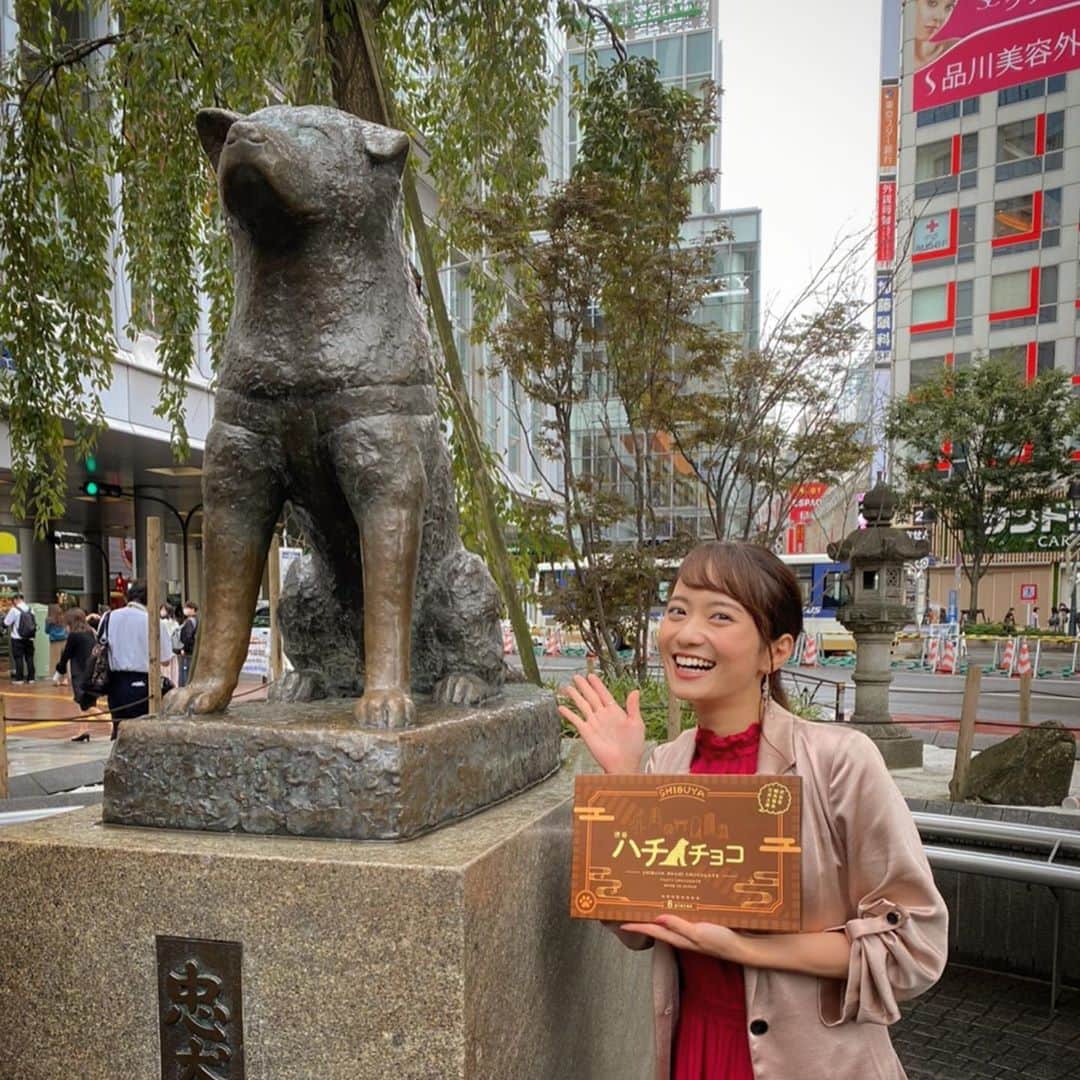 のインスタグラム：「渋谷駅ハチ公前広場観光案内所 #シブハチボックス  のオープンセレモニーの司会進行を、務めさせて頂きました。  小さい頃から、ハチというあだ名で呼ばれてた私も この新しい案内所が沢山の人に愛されるのが楽しみです❤️ 渋谷のハチ公もドキドキワクワクしてましたww」