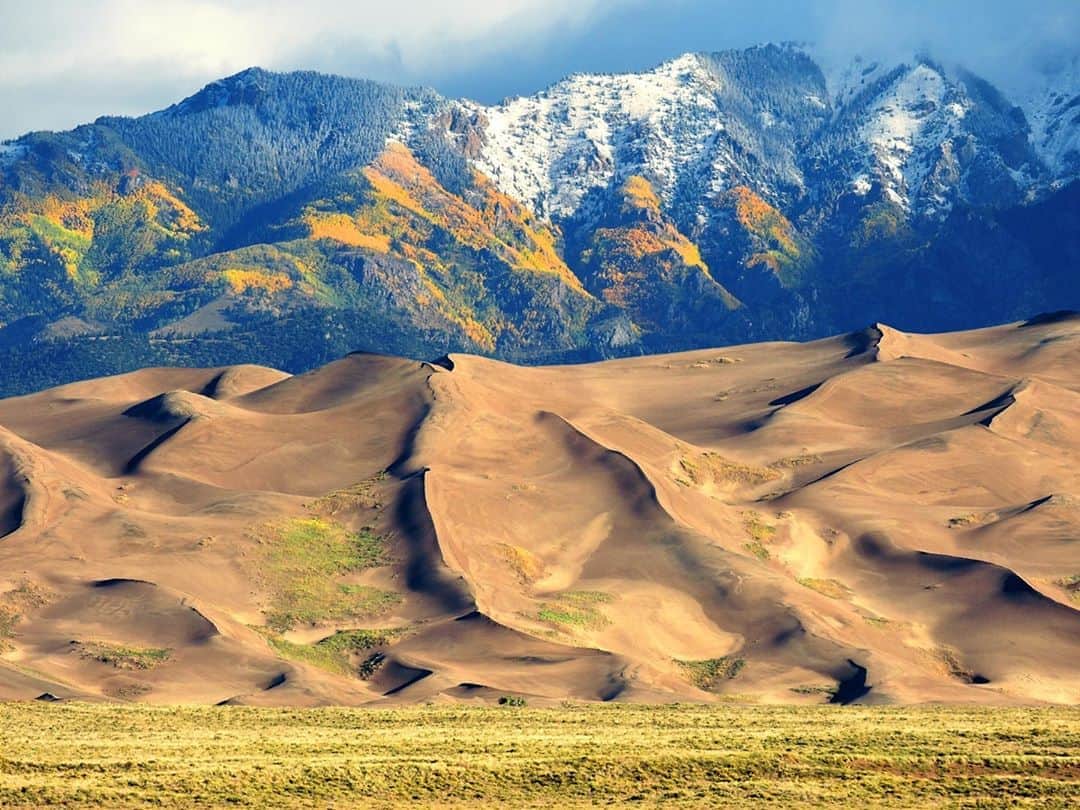 アメリカ内務省さんのインスタグラム写真 - (アメリカ内務省Instagram)「Looming over the majestic dunes at Great Sand Dunes National Park and Preserve in #Colorado, the Sangre de Cristo Mountains are putting on their #autumn decorations. From a distance, groves of quaking aspens stand out in patches of orange and gold. Remarkable trees, they grow in clusters where they get lots of sunshine. Often creating new trees from a huge system of roots, a stand of aspens can be a single organism, each tree genetically identical. Individual trees may live up to 150 years, but the parent root system may be up to one million years old. Isn’t that incredible? Photo by Patrick Myers, National Park Service. #usinterior #RecreateResponsibly」10月2日 8時54分 - usinterior