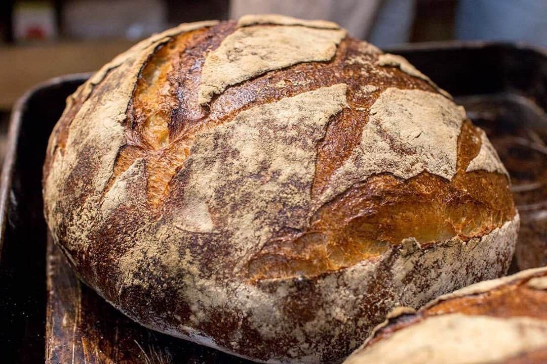 笹塚駅のパン屋さん オパンのグルメインスタ