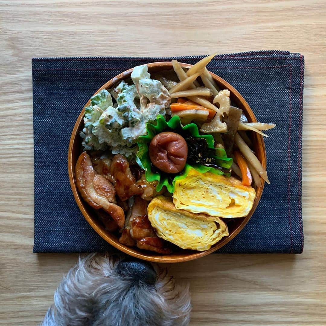 のインスタグラム：「2020.10.2*FRI * ｵﾊﾖ〜ｺﾞｻﾞｲﾏｽ✧ │ꒉ:)و ̑̑ *☀︎ * * #今日のお弁当 * * ✦鶏照焼き * * #のっけ弁　 * * 今日は鶏肉ペロされました👅 * #お弁当とモジャ * #まる弁#丸弁 #地味弁#茶弁#シンプル弁当 #丼弁当#簡単弁当 #頑張らないお弁当 #お弁当#おべんとう#弁当#旦那弁当#男子弁当  #曲げわっぱ弁当#わっぱ弁当#工房アイザワ#instabento#japanesefood#bento#obento#lunchbox#도시락#便當 #犬のいる暮らし#犬バカ#シュナプー#溺愛中」