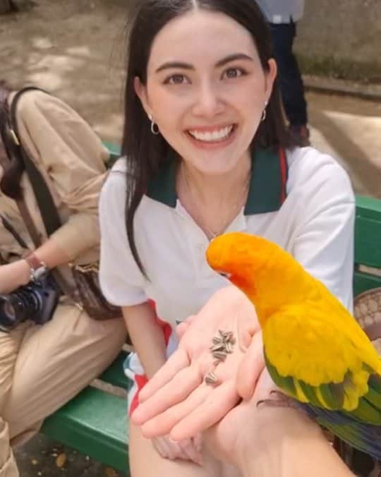 マイ・ダーウィカーのインスタグラム：「น้องงงงงงงงงง #ดาวินักท่องเที่ยว ☁️🦜🐦💕」