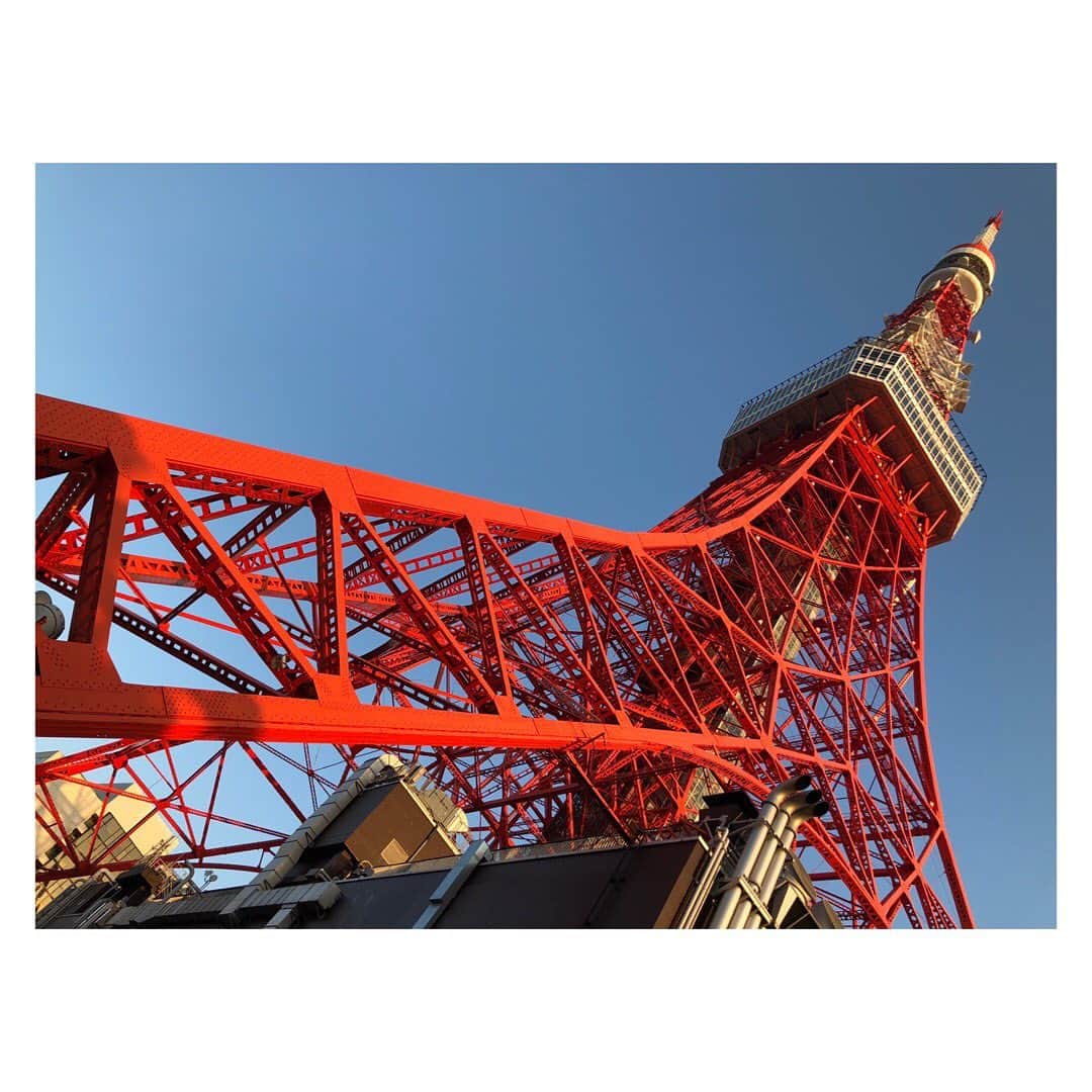 中西圭三のインスタグラム：「#東京タワー #朝散歩 #朝日ハンター #早起き万歳 #朝日を浴びよう #中西圭三 #1111 #202010020609」