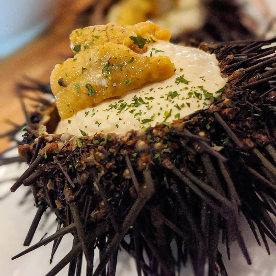 大見さなえのグルメインスタ