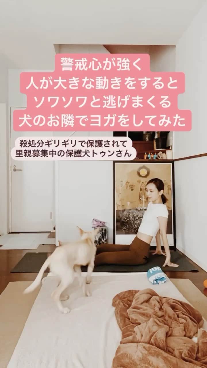 滝裕可里のインスタグラム