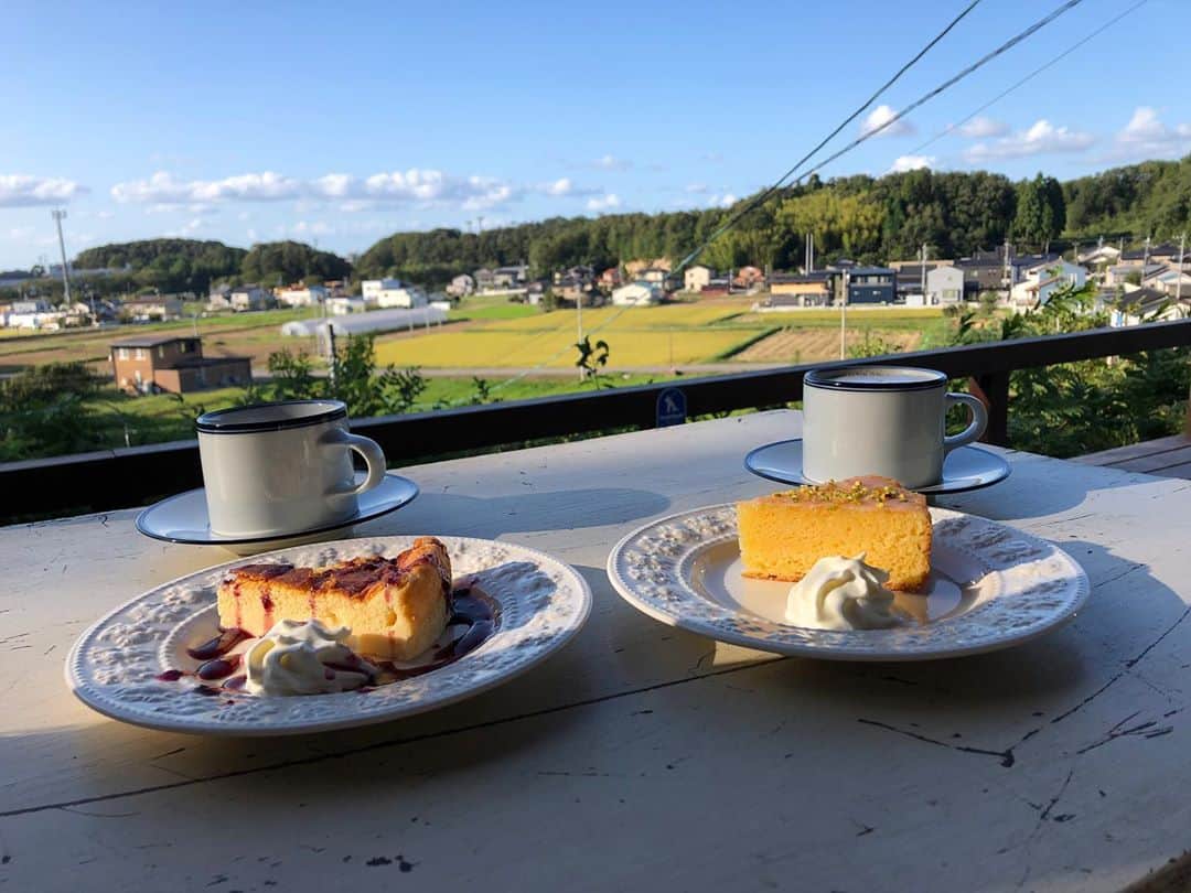 南早苗のグルメインスタ