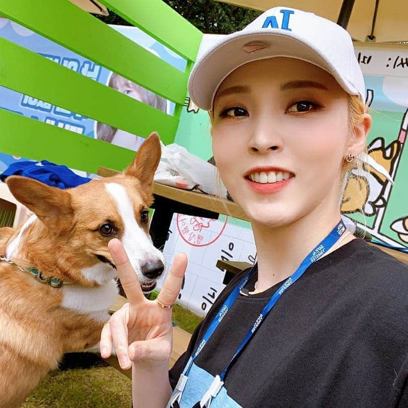 ムンビョルさんのインスタグラム写真 - (ムンビョルInstagram)「❤🐕🐕🐕❤」10月2日 22時05分 - mo_onbyul