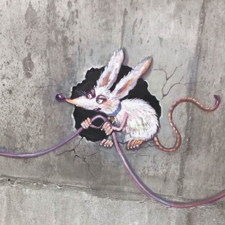 チアキコハラのインスタグラム