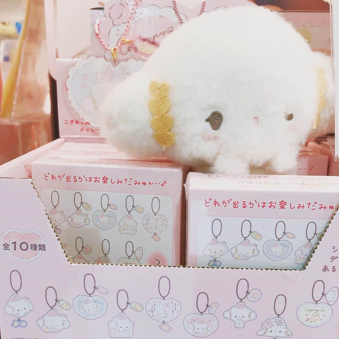 こぎみゅん（サンリオ）のインスタグラム