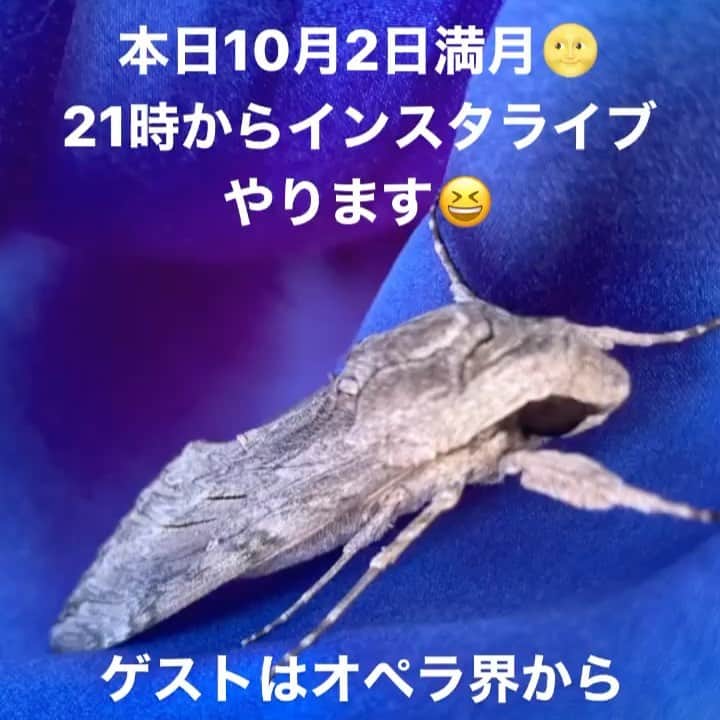 広崎うらんのインスタグラム：「衣装をいっぱい洗濯して干してたら、シルクのドレスにメーテルみたいなデッカイ虫が…🤣  10月2日（木）21時から、先日動画削除しちゃったリベンジで、再度インスタライブやります😆💕 ゲストはオペラ界から桜井万祐子、ダンス界から池田美佳が再登場！のぞいて見てね😘  @mayukosakurai.operasinger  @mikaring72  @uranrevo」