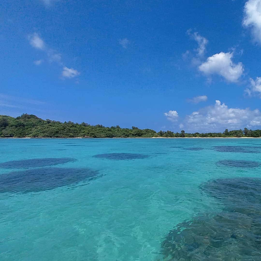 石垣シーサイドホテルさんのインスタグラム写真 - (石垣シーサイドホテルInstagram)「底地ビーチ🏖️  最近は風が北風に変わり、朝晩は涼しく散歩に最適。日中は日差しが強いとまだまだ暑さを感じますが、それでも大分過ごしやすくなってます。 海にもまだ入れますし、人によっては一年で最も良い季節と言う人もいます。  10月に入り世の中色々変化がありますが、底地の海は変わらず青いです。  是非皆様のご利用をお待ちしてしております☀️  #沖縄 　#沖縄旅行 　#八重山 　#八重山諸島 　#石垣島 #石垣シーサイドホテル 　#底地ビーチ 　#okinawa #yaeyama  #ishigakiisland  #ishigakiseasidehotel」10月2日 14時11分 - ishigaki_seaside_hotel