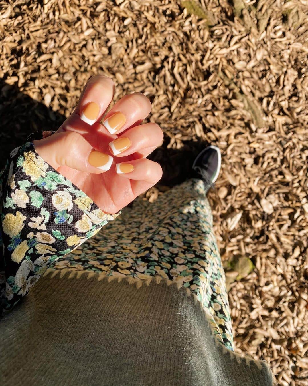 shihoのインスタグラム：「キンモクセイのいい香りがした🤎🧡  #autumn  #newmail」