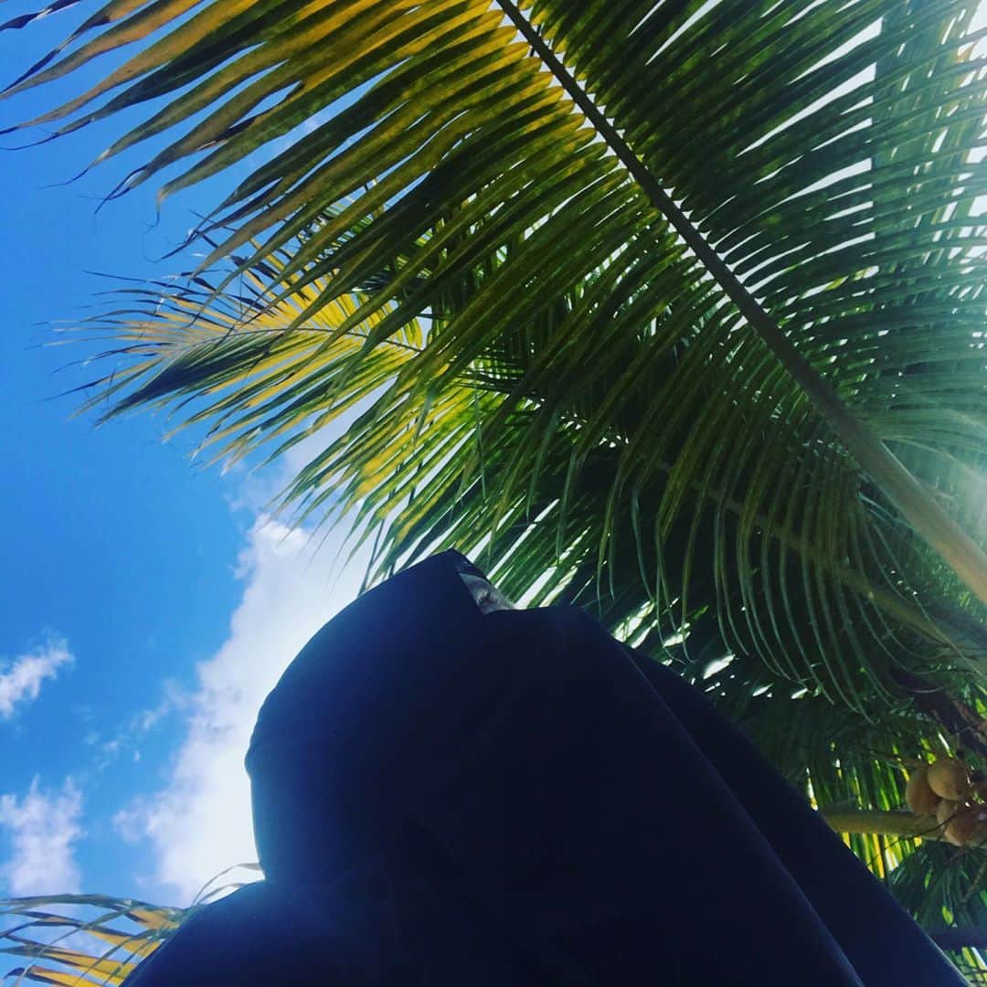 ミラのインスタグラム：「Treeeeeee」