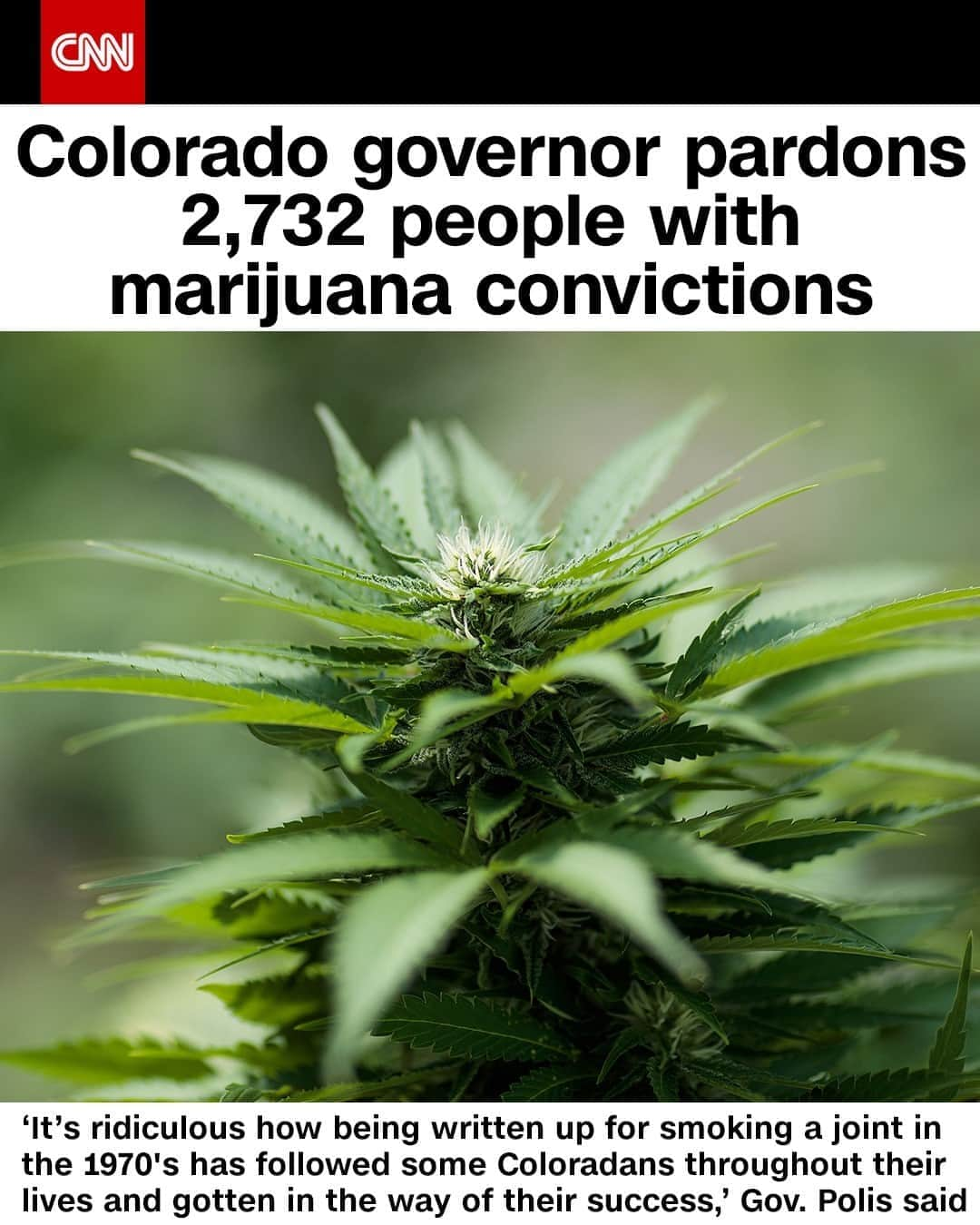 CNNさんのインスタグラム写真 - (CNNInstagram)「Colorado Gov. Jared Polis Signed An ...