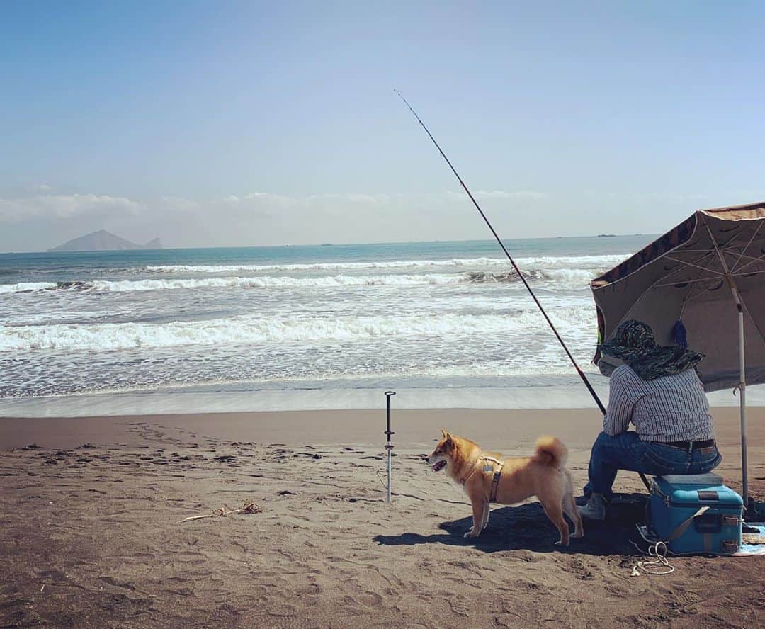 Coffeeのインスタグラム：「跟阿伯一起釣魚🎣 #coffee_and_apple」