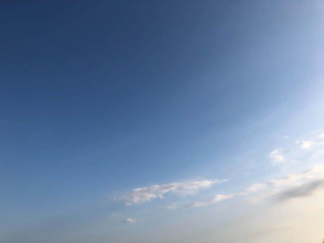 島袋寛子さんのインスタグラム写真 - (島袋寛子Instagram)「– 金木犀だ〜 風にのってお部屋に流れ込んできてくれました👏 いい香り〜気持ちいいなぁ。 自然がみんなの意識を繋げてくれる。 地球って素敵な星だなぁ。 他の星にはいったことないけれど、、笑。 ありがとうございます🙏  – #秋ですね #栗ごはん #焼き芋 #モンブラン #スイートポテト #たべたい #笑」10月2日 16時34分 - hiroko.shimabukuro