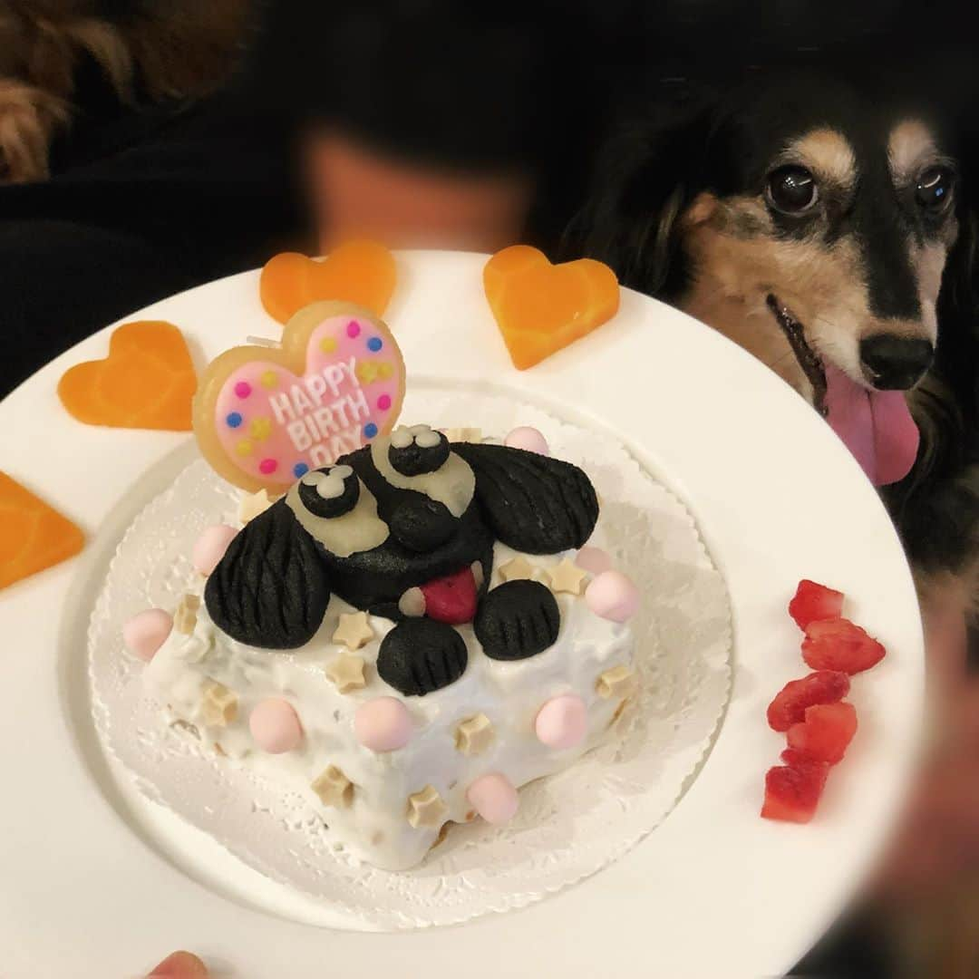 小笠原茉由さんのインスタグラム写真 - (小笠原茉由Instagram)「愛犬のお誕生日会をしました🐶🎈  . . 手作りディナーでお祝い💕 一応コースのお料理を意識しました🍽笑 . . ＊前菜盛り合わせ ＊タラのスープ ＊わんバーグ ＊デザートはお野菜と馬肉のケーキ🎂（最後の写真はケーキの中身 . . マジパンでお顔も作ってみた🤣 マジパンのところは食べさせないので飾り！ . . 食べすぎちゃうので2日に分けます🐶💕 改めて12歳のお誕生日おめでとう❤️美味しそうにもりもり食べてくれてありがとう🥰大好きよ🥰」10月2日 22時53分 - mayu.ogasawara