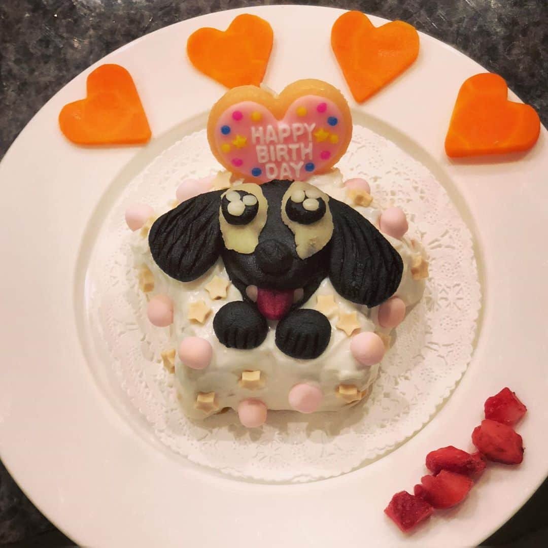 小笠原茉由のインスタグラム：「愛犬のお誕生日会をしました🐶🎈  . . 手作りディナーでお祝い💕 一応コースのお料理を意識しました🍽笑 . . ＊前菜盛り合わせ ＊タラのスープ ＊わんバーグ ＊デザートはお野菜と馬肉のケーキ🎂（最後の写真はケーキの中身 . . マジパンでお顔も作ってみた🤣 マジパンのところは食べさせないので飾り！ . . 食べすぎちゃうので2日に分けます🐶💕 改めて12歳のお誕生日おめでとう❤️美味しそうにもりもり食べてくれてありがとう🥰大好きよ🥰」