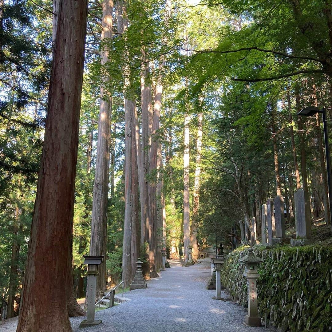 亘健太郎さんのインスタグラム写真 - (亘健太郎Instagram)「絶景の御裾分け‼︎﻿ #アメカジボーイズ ﻿ #amecajiboys ﻿ #アメカジ ﻿ #アメカジ散策 ﻿ #byボーイズ長 ﻿ 《告知》﻿ 「アメカジボーイズyoutube生配信」 ﻿ 日付: 2020年10月3日(土)23:00〜﻿ ﻿ こちらを↓↓↓↓↓↓↓をクリック‼︎﻿ ﻿ https://youtu.be/txcw3EspIws﻿ ﻿ #フルーツポンチ亘　﻿ #パンクブーブー哲夫　﻿ #ニブンノゴ大川　﻿ #オリオンリーグ玉代勢　﻿ #LLR伊藤　﻿ #まんじろう米女　﻿ #素敵じゃないか吉野　﻿ #みそホルモンべこ﻿ ﻿ 【youtube】﻿ 「アメカジボーイズ」のyoutubeチャンネルを開設しました‼︎﻿ 毎週火曜、金曜日に《アメカジボーイズ》youtubeチャンネルで動画をアップしていきます‼︎是非、チャンネル登録お願い致します‼︎﻿ ﻿ https://www.youtube.com/channel/UCcEOJTJGZZ0hEruuMpxvqsw ﻿ ﻿ 【Facebook】﻿ 「アメカジボーイズ」のFacebookページもありますので是非チェックしてみてください‼︎ ﻿ ﻿ https://www.facebook.com/amecajiboys/﻿ - [ ] ﻿」10月2日 17時41分 - watarikentaro