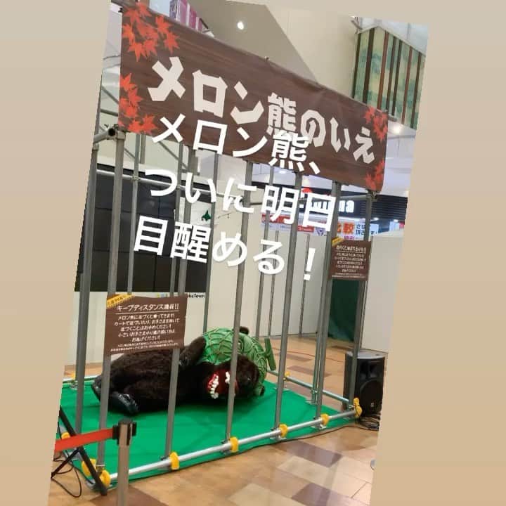メロン熊【公式】のインスタグラム：「メロン熊、明日起床予定  #イオンレイクタウン #メロン熊  #木の広場 #メロン熊クジ」