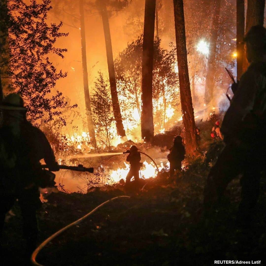 ABC Newsさんのインスタグラム写真 - (ABC NewsInstagram)「Firefighters battle the Glass Fire as it encroaches towards a residence in Calistoga, California. #fire #california」10月2日 18時10分 - abcnews