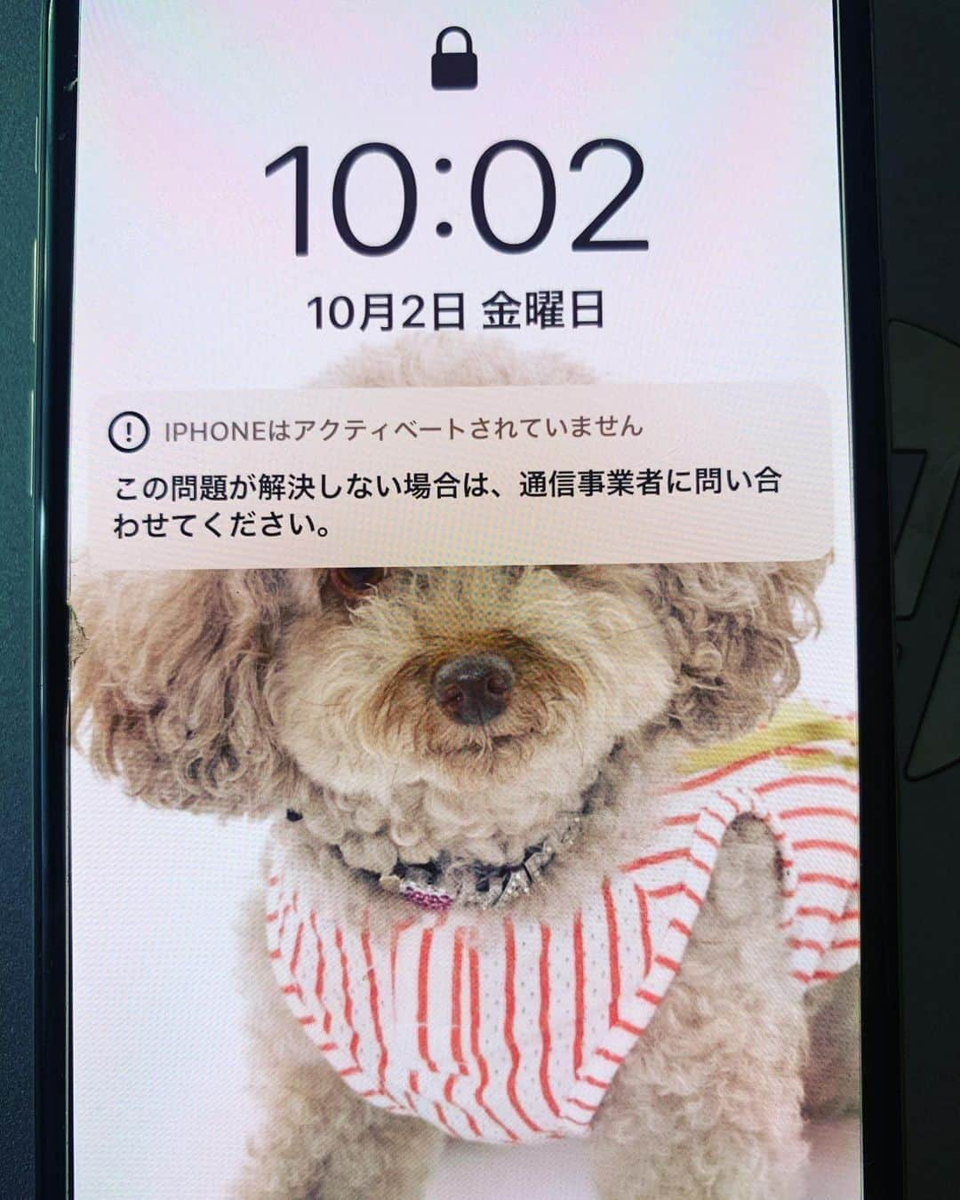 桜花由美さんのインスタグラム写真 - (桜花由美Instagram)「Phoneが一つ使えなくなった…  昨日の夜からアクティベートされてません。って出て、電波を受信しなくなった。  Wi-Fiが繋がっていれば、使えるんだけど、電話は出来ない。  電源入れ直したり、SIMカード抜いてみたり前のスマホにSIM入れてみたりしたけど、全然ダメ。  なので、docomoショップ行ってSIMカードを新しく作ってもらった。  直ったかな？と思ったら直ってなかった…  iPhoneが壊れたのかなぁ。  買い直さなきゃダメかなぁ…  2代持ちでもう一台iPhoneを持っていて、連絡はつかないことはないんだけど、使えないと不便だわ。  #wavepro ‪#プロレスラー ‬ ‪#女子プロレス‬ ‪#prowrestling‬ ‪#プロレスリングwave‬ #波ヲタ全員集合  #桜花由美 #波ヲタ #新型コロナウィルス  #新型コロナウィルス対策 #コロナウィルスに負けないぞ #愛犬 #愛犬との暮らし  #犬  #犬のいる暮らし  #犬なしでは生きていけません会  #犬バカ #トイプードル  #トイプードルカフェオレ  #ミックスチャンネル #mixchannel  #mixchannelライブ配信  #mixchannel公認ライバー #ミクチャ  #ミクチャ動画 #youtube  #youtubechannel #ozアカデミー #正危軍  #ボスマミ」10月2日 18時47分 - ohkayumi