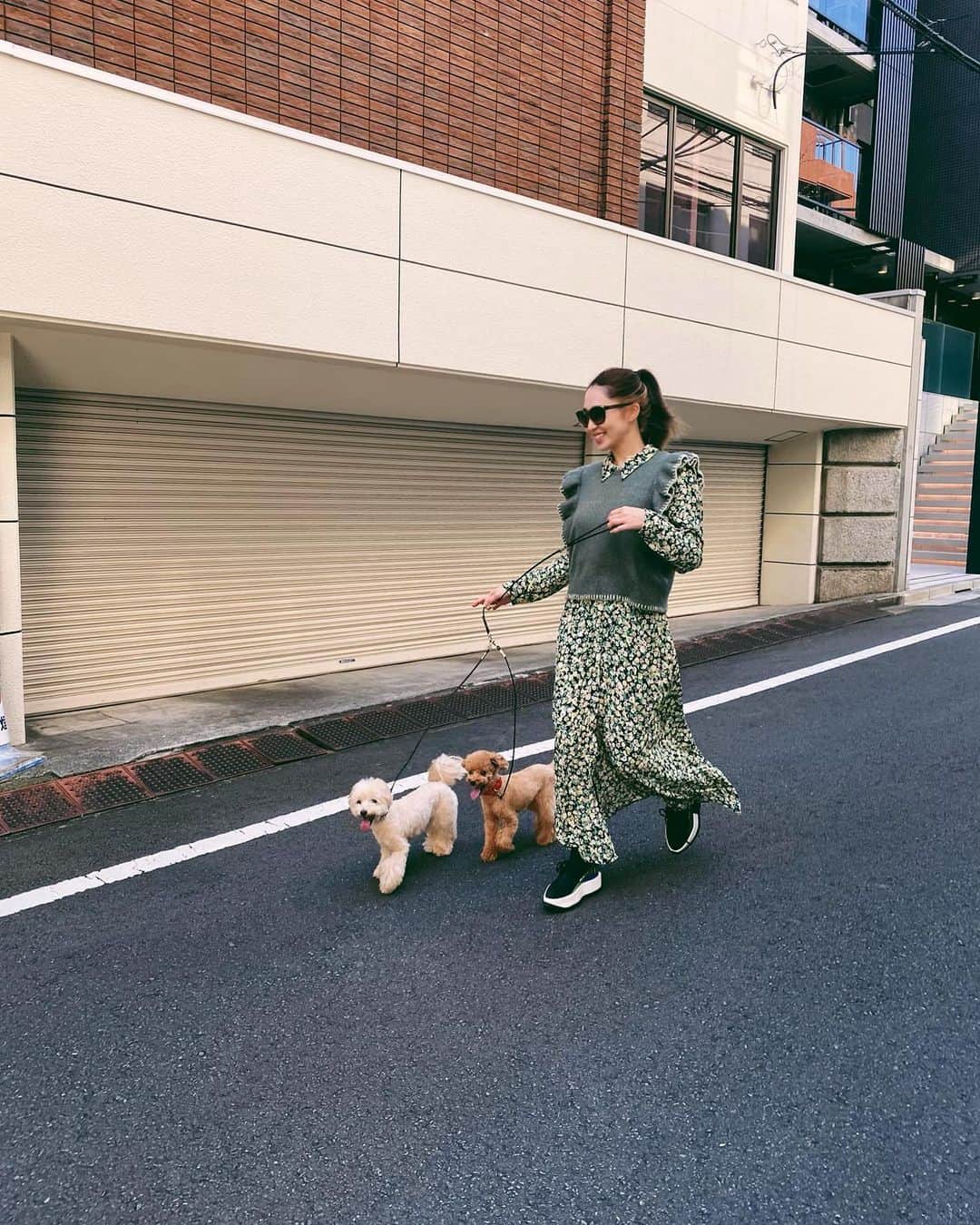 shihoさんのインスタグラム写真 - (shihoInstagram)「全然しらない道をお散歩するのは ちびたちも楽しかったみたい🤎 たまにはいいねっ🐶🐶 毎日お散歩日和な気候で うれしいなぁ🧡🤎🧡🤎 . . . . . #もあぽむ🐶」10月2日 19時05分 - shipogram