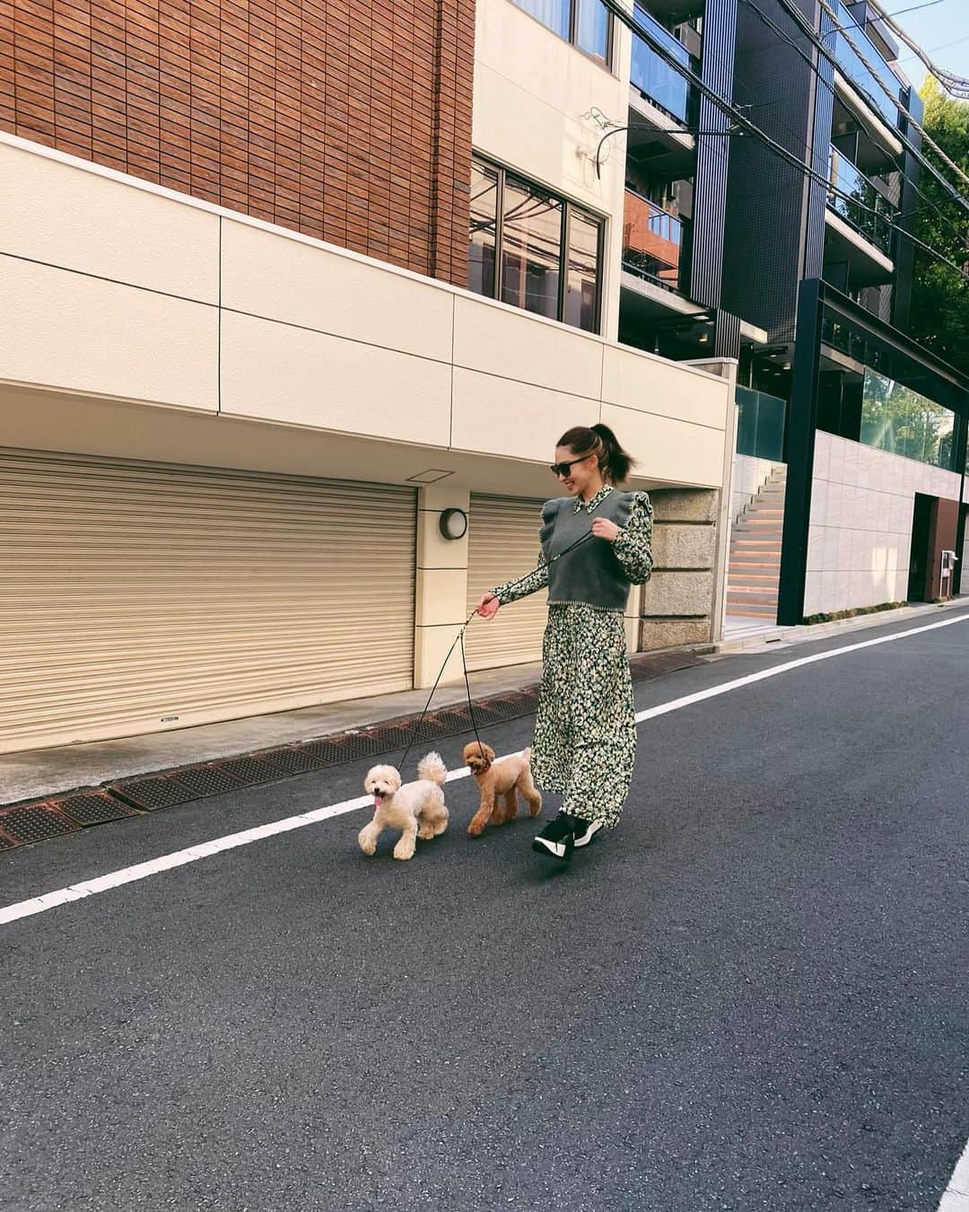 shihoのインスタグラム：「全然しらない道をお散歩するのは ちびたちも楽しかったみたい🤎 たまにはいいねっ🐶🐶 毎日お散歩日和な気候で うれしいなぁ🧡🤎🧡🤎 . . . . . #もあぽむ🐶」