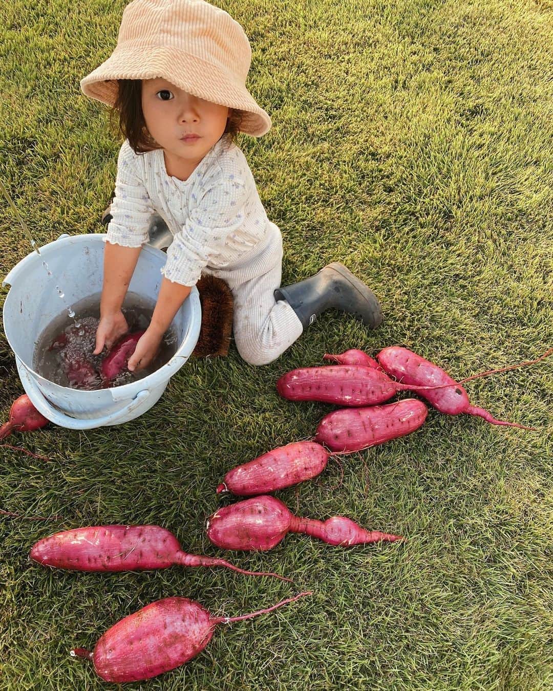 MOYAさんのインスタグラム写真 - (MOYAInstagram)「芋洗い娘。 🍠 良い季節だねえ♡♡ . #_emu_ #3歳 #農業女子  #秋コーデ」10月2日 19時17分 - moyamoya2121