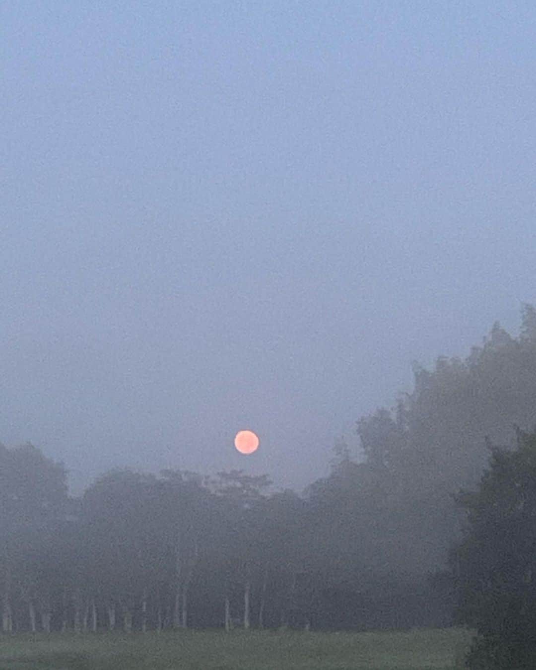 前川泰之さんのインスタグラム写真 - (前川泰之Instagram)「今朝5時過ぎに千葉県で見た、朝日、、  じゃなくて、沈みゆく満月🌕❗️  オレンジ色だし、大きいし、朝靄もかかって幻想的だったー✨✨✨  #中秋の名月　#モーニングムーン　#満月」10月2日 19時35分 - maekawa_yasuyuki_official