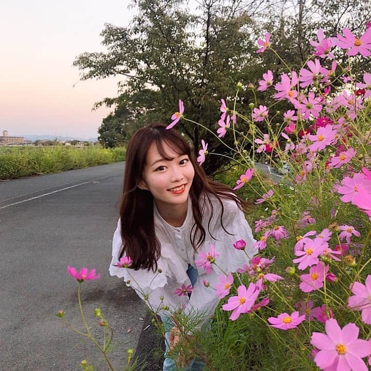 齋藤佳穂のインスタグラム：「もう秋の空になってる🍂 コスモスもいっぱい咲いてて秋って感じ♪  #秋の空 #秋コーデ #秋服コーデ #コスモス #夕日 #夕日が綺麗 #秋服 #京都 #ミスキャン #ミスコン」
