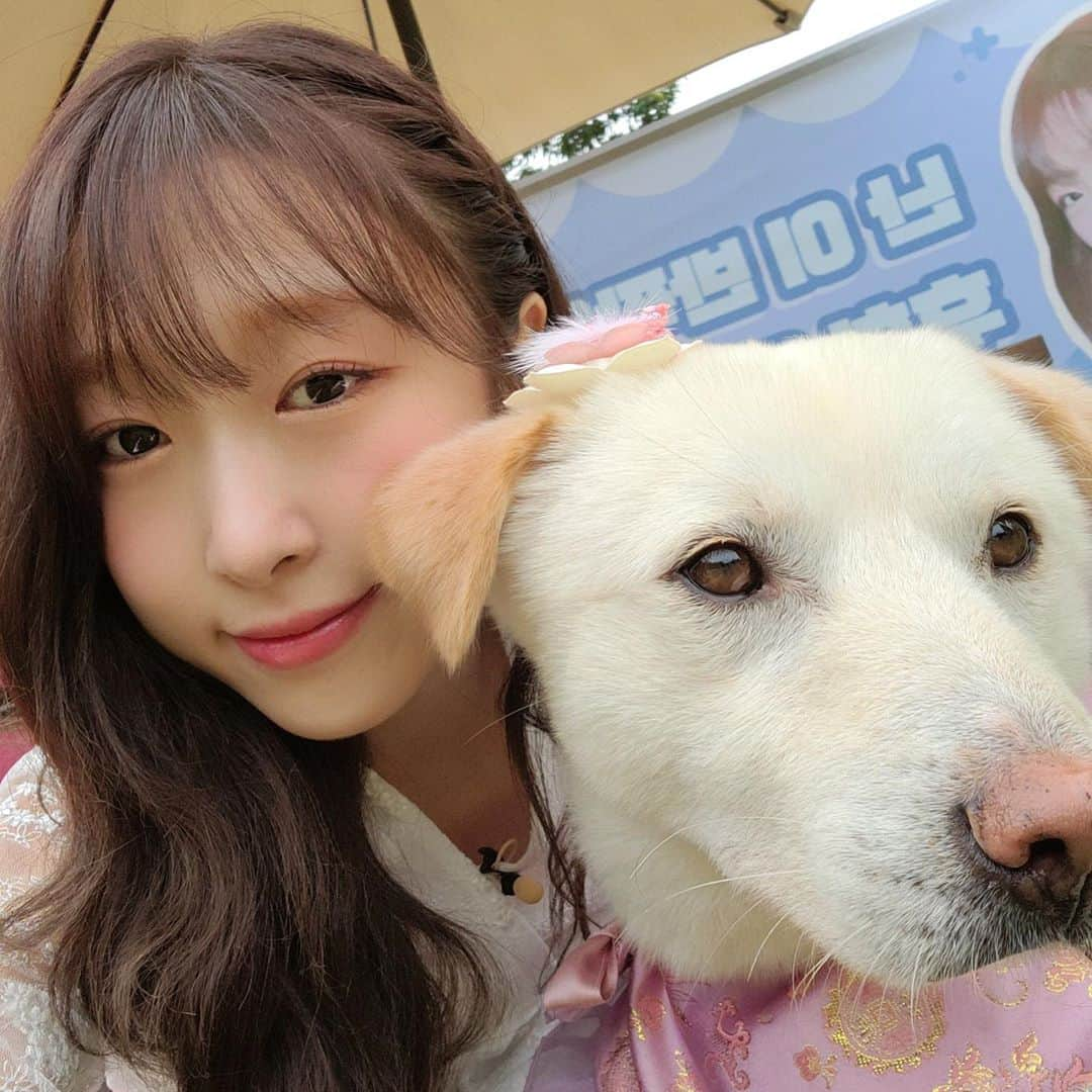 宇宙少女さんのインスタグラム写真 - (宇宙少女Instagram)「#MBC 2020 추석특집 #아이돌멍멍선수권대회 🐶 사랑스러운 커플 한복을 입은 럭키네 #수빈 이의 인증샷 도착 💕  보는 것만으로도 힐링이 되는 듯했던 #우주소녀 수빈과 럭키의 어질리티 경기 🥰 #우정 남은 연휴도 잘 보내세요!🙇‍♀️🙇  #쪼꼬미 #흥칫뿡 #우주소녀_쪼꼬미 #CHOCOME #Hmph  #우주스타그램 #WJSN」10月2日 20時58分 - wjsn_cosmic