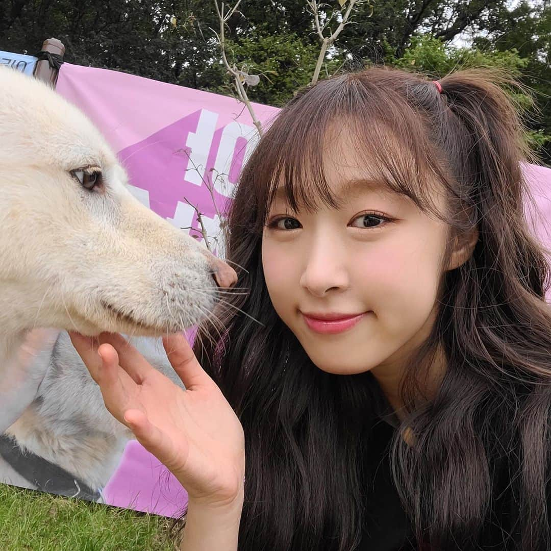 宇宙少女さんのインスタグラム写真 - (宇宙少女Instagram)「#MBC 2020 추석특집 #아이돌멍멍선수권대회 🐶 사랑스러운 커플 한복을 입은 럭키네 #수빈 이의 인증샷 도착 💕  보는 것만으로도 힐링이 되는 듯했던 #우주소녀 수빈과 럭키의 어질리티 경기 🥰 #우정 남은 연휴도 잘 보내세요!🙇‍♀️🙇  #쪼꼬미 #흥칫뿡 #우주소녀_쪼꼬미 #CHOCOME #Hmph  #우주스타그램 #WJSN」10月2日 20時58分 - wjsn_cosmic