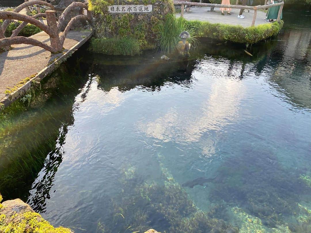高松いくさんのインスタグラム写真 - (高松いくInstagram)「紅葉台で絶景パノラマを観て  吉田うどん😋食べられた✨ 美味しかった😳✨  そして  天然記念物である「忍野八海」へ  富士山の伏流水に 水源を発する湧水池だそうで  とっても水が綺麗で 水も景色も村にも癒されました✨  日本てまだまだ見たことのない  美しい。美味しい。でいっぱいだ。  #日本　#観光　#帰宅しました  明日は新潟県へ🏕 #引き続き #camp 　#ドライブ🚗」10月2日 20時54分 - iku_takamatsu_trip_sup_yoga