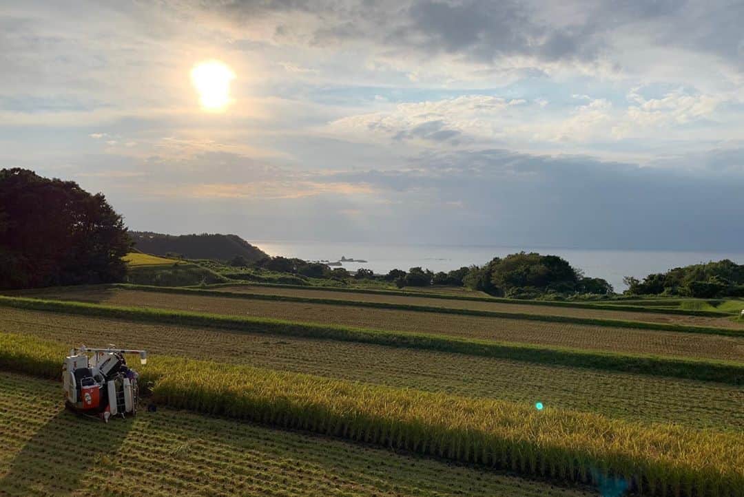 北野貴之さんのインスタグラム写真 - (北野貴之Instagram)「初めての収穫！ 実りの秋、新米の収穫を手伝いに来ました。 田舎ならではのいろんな思い出ができ、その中で巡り巡り、辿り着いたのが日本で1割の米の生産者との出逢いでした。 お米の生産者から、色々なことを学び、日本人の食、どのように消費者に届いているのかを教わりました。 住み込みで、お手伝いして、必至について回るだけが精一杯でしたけど。 会長様、住み込みさせてくれた兄貴に可愛がられたりと、厳しく躾けられた道徳があって対応できました。 スポーツ根性に感謝です。  何気なく食べてるお米のストーリー、どのような流れで日本のお米が消費者に渡っていくのか、仕組みが分かりました。  この写真は、最初についてお米のお手伝いを求めてきた場所です。  #新米#玄米#大好き#食欲の秋」10月2日 21時07分 - takashi_kitano