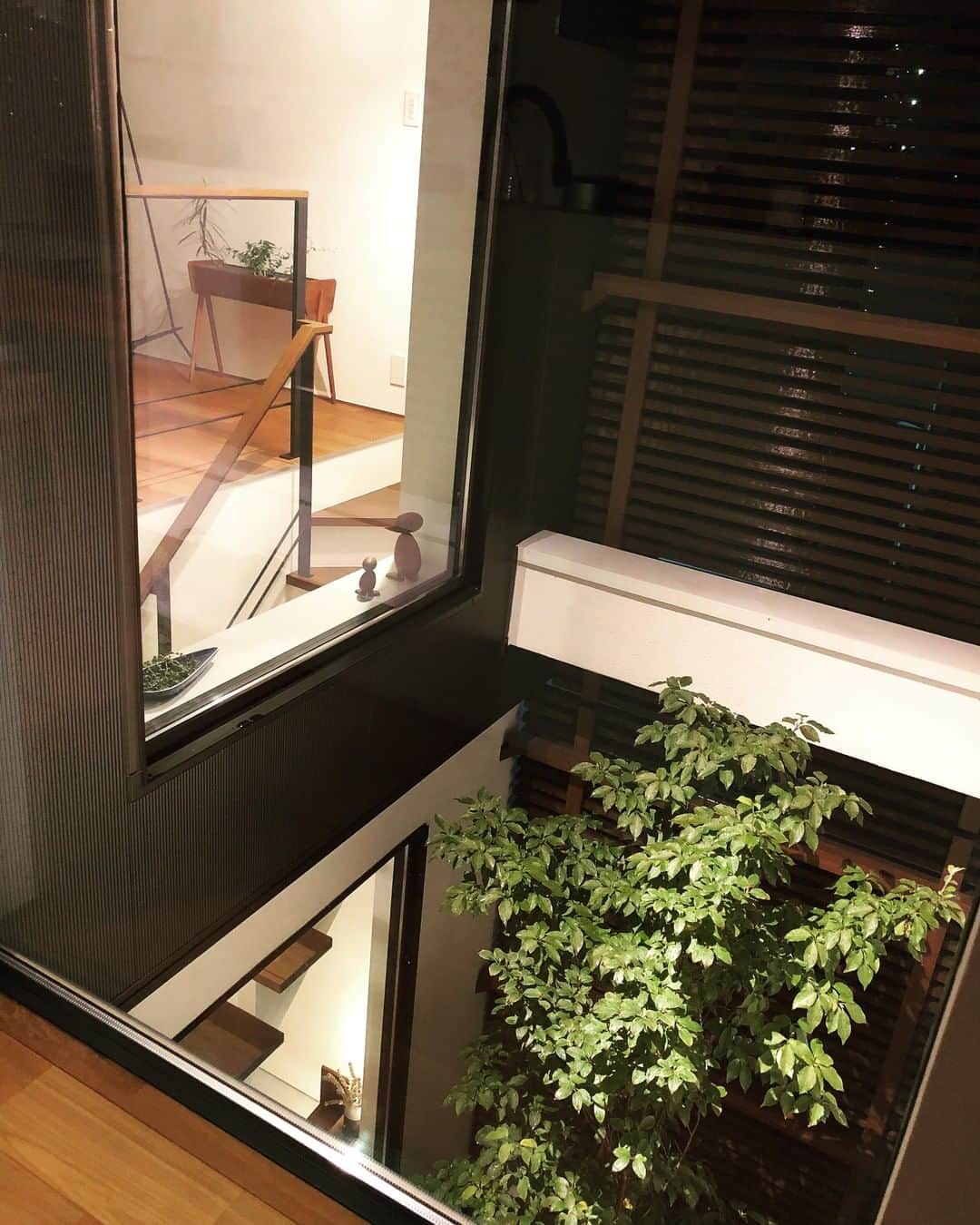 ムクリ［mukuri］さんのインスタグラム写真 - (ムクリ［mukuri］Instagram)「ヴィンテージ家具と共に暮らす家、北欧×モダンのコダワリを添えて。  玄関をあけると 広く設けたモルタルの土間に スケルトン階段とヴィンテージ家具がお出迎え。  階段をのぼると約20畳ほどのLDKがあり どの場所からも眺められる中庭が印象的です。  北欧の家具と夜にライトアップされたシンボルツリー。 ゆったりとした時間の流れ。 想像しただけでも幸せになりますね。  ▼casa_omameさんインテリアまとめ -----------------------------------------------  ●キッチン ・キッチンメーカー：サンワカンパニー／GRAD45 ・サイズ 全長：2565mm 奥行き：650mm 高さ：850mm ・ステンレス／バイブレーション仕上げ  ・キッチンタイル：名古屋モザイク／パヴォーネ（品番PVO-09） ・食洗機：なし ・水栓：ミズタニ／混合水栓ヘッド引出式 ・レンジフード：渡辺製作所／スリム型サイドフード  ・ガスコンロ：ハーマン／プラス・ドゥ（PLUS do） ・下がり天井：IOCフローリング／プラフォンセパレ（チーク材）  ●キッチン背面収納 ・カップボード：サンワカンパニーのコントルノ（無印良品とコラボ）  ●洗面室 ・洗面台：AICA／人口大理石スタイリッシュカウンター ・ミラーボックス：サンワカンパニー ・水栓：KAKUDAI  ●1F洗面台 ・カウンター：IKEA／木材カウンター ・洗面：サンワカンパニー／エレガンススクエア ・タイル：名古屋モザイク／アデオナ（ADE-08） ・鏡：アクタス  ●床材 材質：ＩＯＣフローリング  -----------------------------------------------  ▼ご紹介した記事 https://mukuri.themedia.jp/posts/4926372 「サンワカンパニー」のカテゴリーよりご覧いただけます＾＾ （キャプション：編集長）  #注文住宅 #マイホーム #北欧インテリア #ヴィンテージ #北欧ヴィンテージ #リビング #キッチン #ダイニング #玄関インテリア #洗面所 #サンワカンパニー #名古屋モザイク #ACTUS #無印良品 #北欧家具 #マイホーム計画 #マイホーム記録 #家づくり#おうち #新築 #新築一戸建て #kitchen #マンションインテリア #賃貸インテリア #インテリア #ライフスタイル #暮らしの道具 #暮らしを楽しむ #くらしの編集 #ムクリ」10月2日 21時05分 - mukuri_official