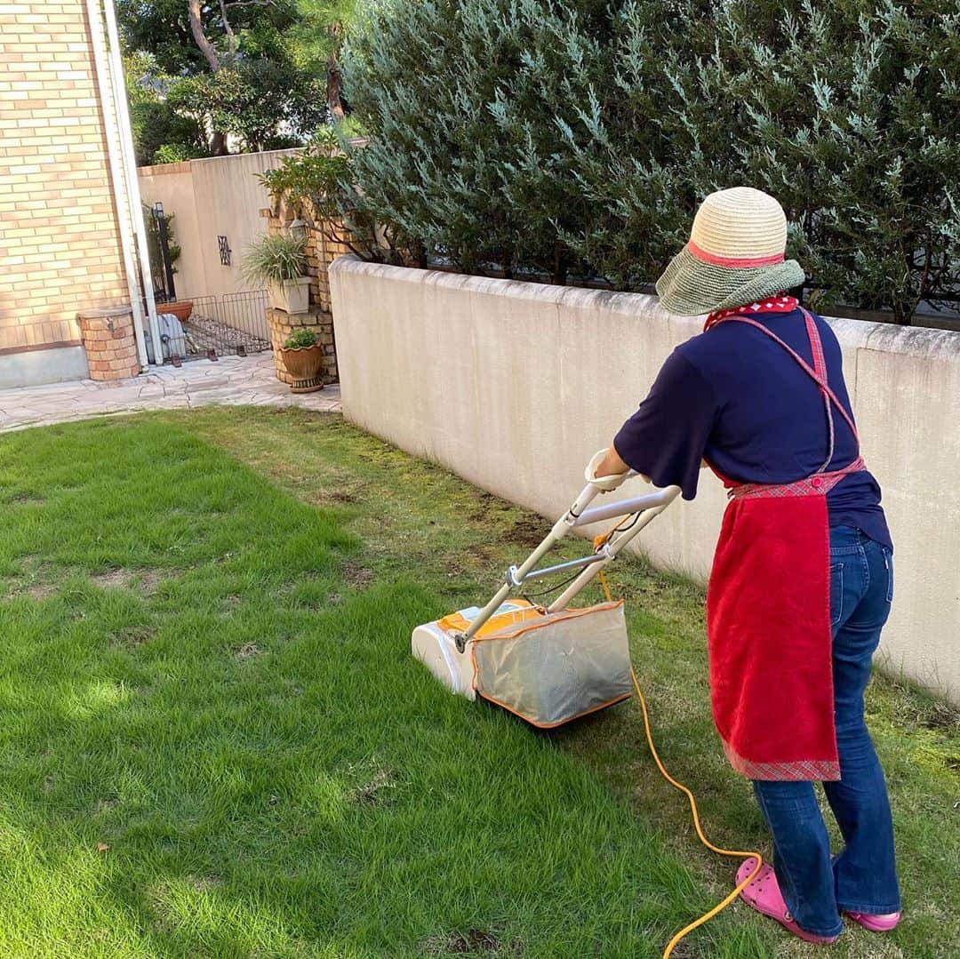 渡辺徹さんのインスタグラム写真 - (渡辺徹Instagram)「むかーしむかし  あまりの天気の良さに  おじいさんと  おばあさんは  庭へ  芝刈りに行きました  そして  二人で力を合わせ  とっても  きれいになったとさ  めでたしめでたし  #渡辺徹 #榊原郁恵 #芝刈り #昔話」10月3日 7時10分 - tohru.rugger