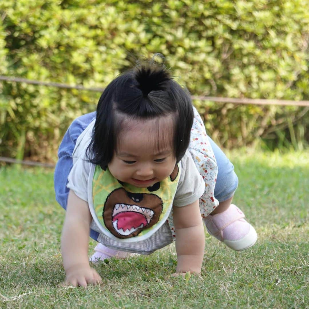 横山愛子さんのインスタグラム写真 - (横山愛子Instagram)「初めての遊園地^_^ 大人の入園料だけ払って入って正解❣️❣️乗り物も6個乗っただけで満足(^.^)たまたま園内で見つけた公園が、結局一番楽しそうに走ってた😄次女も遊園地だけだと動けないので、ハイハイして嬉しそう☆ 平日でとっても空いてて、全て貸切状態👍アシカショーもあって、癒された💕 子供達の成長を感じ、充実した一日でした(o^^o)」10月3日 7時31分 - aiaiko8