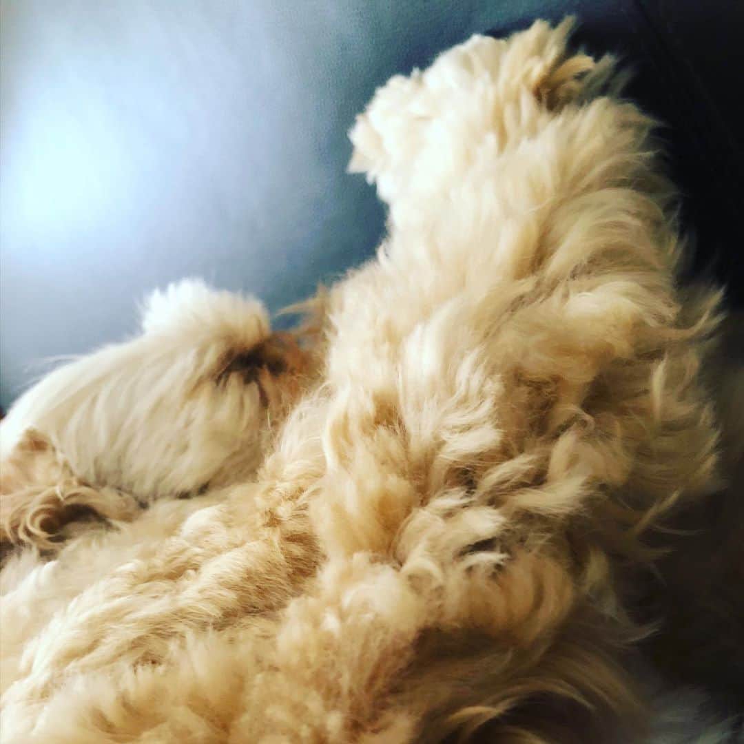 北山陽一のインスタグラム：「おはようございません。#きたやまおかき」