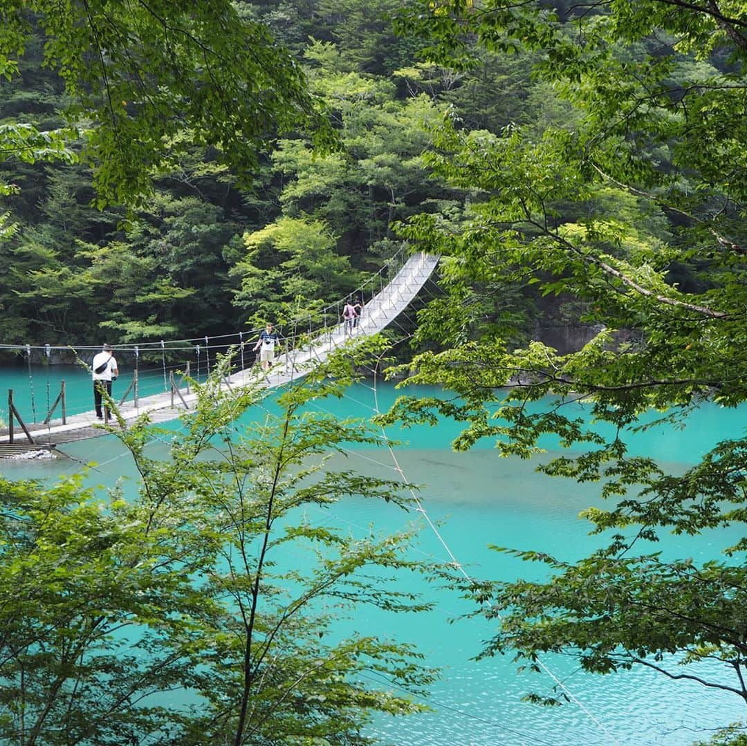 MERYさんのインスタグラム写真 - (MERYInstagram)「.⁣ 静岡県の絶景スポット「寸又峡 夢の吊り橋」に行ってみたい…！⁣ .⁣ 目を奪われるようなミルキーブルーの川が眼下に広がり、まるで川の上を空中散歩しているような気持ちになれるかも。橋の真ん中でお願いごとをすれば願いが叶うというパワースポットとしても有名なんだとか。⁣ 一度に橋に乗れるのは10人まで。手すりになるワイヤーを掴みながらゆっくり絶景を楽しんでみて。⁣ .⁣ 【スポット情報】⁣ 住所：静岡県榛原郡川根本町千頭⁣ 明るい時間に安全に配慮して渡りましょう。⁣ .⁣ MERYでは他にも「かわいい」に近づくさまざまな情報を発信しています。⁣ @mery.beauty コスメ・美容に特化した情報をお届け♡⁣ @mery_spot 話題のカフェやお出かけスポットをご紹介！⁣ @_meryshop_  MERYセレクトの可愛いアイテムがたくさん⁣ こちらもぜひチェックしてみてください！⁣ .⁣ .⁣ photo by @ebi._.ss⁣ .⁣ #MERY #regram #shizuoka #sumatakyo #静岡県 #静岡 #静岡観光 #静岡旅行 #寸又峡 #寸又峡夢の吊り橋 #夢の吊り橋 #日本の絶景 #絶景 #日本の景色 #ダム湖 #ミルキーブルー #エメラルドグリーン #吊り橋 #パワースポット #旅好きな人と繋がりたい #旅行好きな人と繋がりたい #国内旅行 #ドライブ #自然 #癒し #川 #お洒落 #お洒落さんと繋がりたい #MERY女子 #メリー」10月3日 8時00分 - mery.jp