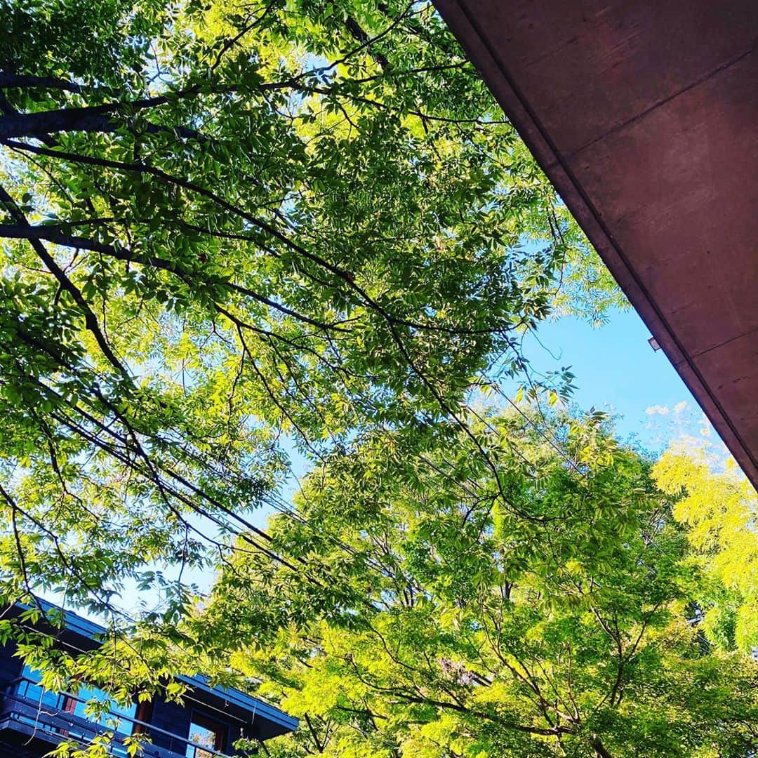 黒沢秀樹のインスタグラム：「今日は羽根木のdear donutsに打ち合わせに。 晴れた秋の空を見上げると、過ぎた夏をどこか懐かしく想うのはどうしてなんだろうか。暑いの苦手なのに。 #tokyo #sky #夏が苦手な夏生まれ」