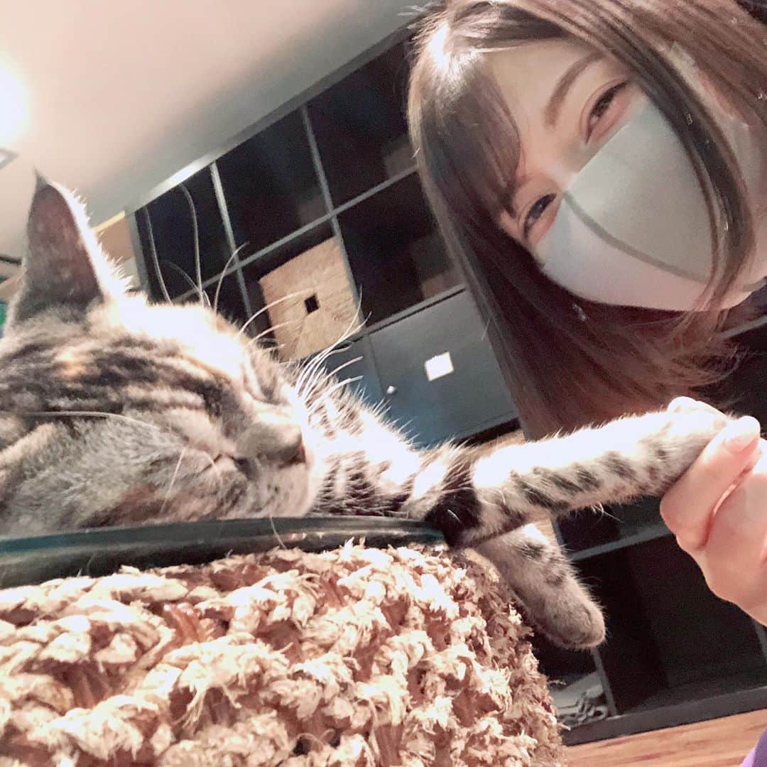 リンさんのインスタグラム写真 - (リンInstagram)「#猫カフェ 仕事の空き時間に行ってきたよ〜。癒された。もふもふ。」10月2日 23時27分 - lynn.06.01