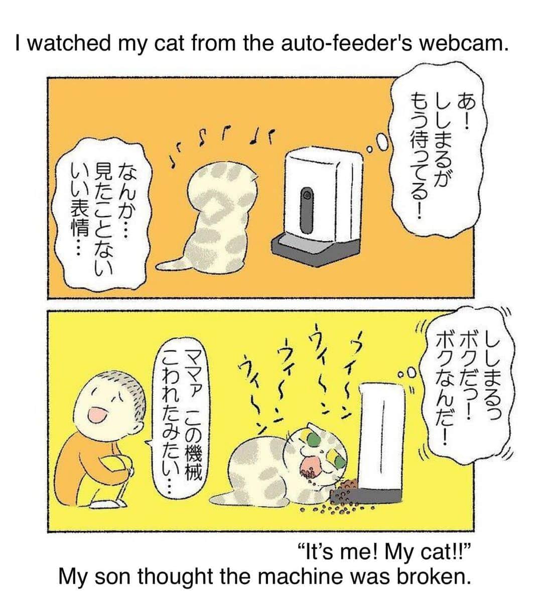 Shishi-maruさんのインスタグラム写真 - (Shishi-maruInstagram)「🐱ねこのきもちWEBMAGAZINE にて、猫エッセイが更新されました。今回は「留守番中のししまるとの話」です。先日公開された「びゅうたび」さんの宮城県田代島の記事もお楽しみ下さい。  【渋ネコししまるさん】#67 ｜ねこのきもちWEB MAGAZINE  https://cat.benesse.ne.jp/lovecat/content/?id=81934  🐱My essay about Shishi-maru is serialized in a weekly magazine:) ーーーーーーーーーーーーー 🌺「渋ネコ ししまるさん」ねこのきもちWEB MAGAZINE にて毎週金曜日エッセイの連載中 ーーーーーーーーーーー 📕「ぷっちねこ。」「3匹のちいさな猫を召喚できたなら」「ちいさな猫を召喚できたなら」徳間書店より単行本発売中 ーーーーーーーーーーー ⭐︎ねこ漫画→@tacos_cat 🌺Twitter →@taco_emonemon ーーーーーーーーーーー」10月2日 23時44分 - emonemon