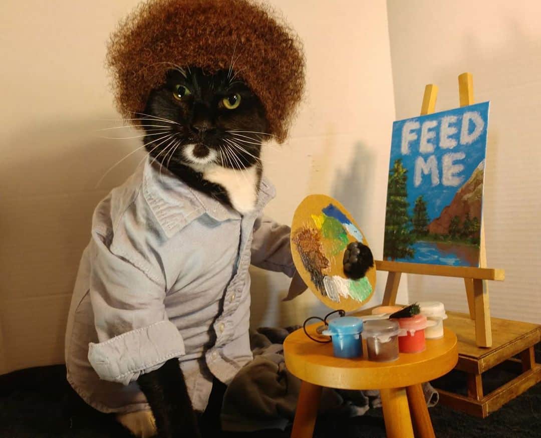猫コスプレさんのインスタグラム写真 - (猫コスプレInstagram)「My cat tries so hard, but it's always so difficult to figure out what he wants. . . . . . . . . . #BobRoss #bobrosscosplay #catcostume #halloweenseason #halloweenideas #halloween #cat #cosplay #cosplayer #funnycats  #catcostume #catsinclothes #catsofinstagram #catstagram #catcosplay #humor #funny」10月2日 23時40分 - cat_cosplay