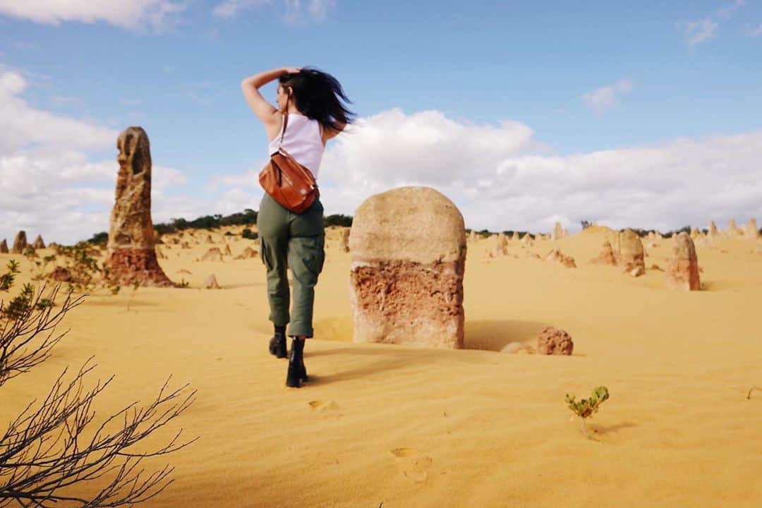 アデレード・ケインのインスタグラム：「The Pinnacles」