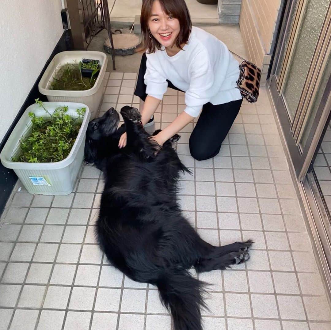 深瀬智聖のインスタグラム：「🧡🧡My family🧡🧡 🐕‍🦺🐾  いつもは派手に飛び蹴りでお出迎えだけどw🤣 今日はずっと甘えん坊だった！！！！🥺🐾  #フラットコーテッドレトリバー  #family #dog #dogs #flatcoatedretriever  #先輩 #dogstagram」