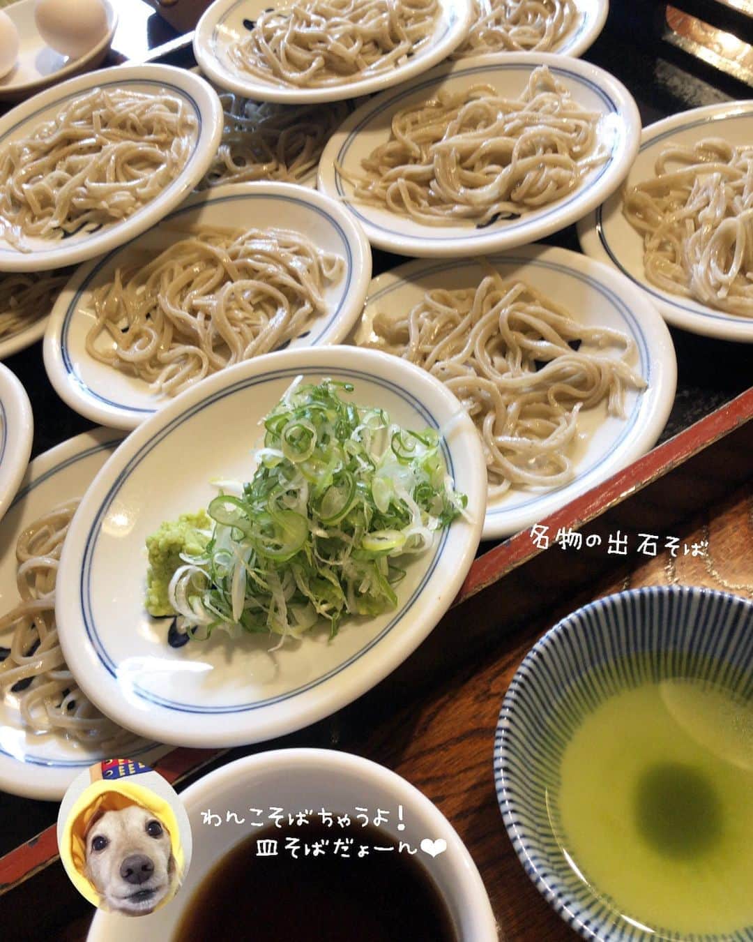 チズさんのインスタグラム写真 - (チズInstagram)「但馬の小京都 出石へ🕰 歴史的な町並みが広がる 小さな城下町🏯 ゆるやかな時間の流れに 心満たされたぁ❤️  #犬なし旅 #兵庫県#出石城下町 #豊岡 #辰鼓楼 #時計台#芝居小屋 #永楽館#コウノトリの郷公園  #出石そば#出石観光  #Mダックス#ダックス#ミニチュアダックス #親父犬#シニア犬#ミニチュアダックスフンド #ミニチュアダックスクリーム#短足部 #短足犬#カニンヘンダックス #ダックス14歳#カニンヘンダックスフンド#犬は家族#犬のいる生活#シニアライフ#インスタでわんこみるのが日課 ♡♡」10月3日 0時45分 - sqi.chizu