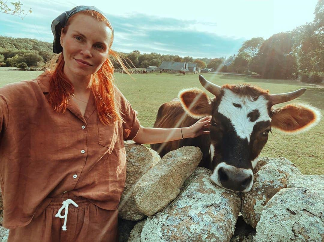 フィービー・ダールのインスタグラム：「This is my Brest friend, Apple. I was driving down the road after a long walk in nature and was suddenly inspired to stop and look at this beautiful field of cows. As soon as I approached the fence he ran up to me and started nuzzling me. The other cows had no interest what so ever. He laid his head on the stone wall and let me scratch his big goofy head, and tries to lick me uncontrollably. I’m not sure why or how, but there is some sort of spiritual connection between us, we have an indescribable instant love for each other. I can’t help but think that he might have the soul of Topsy (my dog and soulmate that passed a year and a half ago). His eyes, the way he looks at me and communicates with me is so similar to her. It’s a magical experience. I bring him an apple everyday and when he sees me coming he runs over to the fence to greet me. We spend about 30 minutes together everyday, and it’s the highlight of my day. When I walk away to leave, he rests his head on the stone wall and watches me walk until I’m out of sight, each time i look back, his little head is there watching me until I’m completely out of sight. I love him so much 🤍」