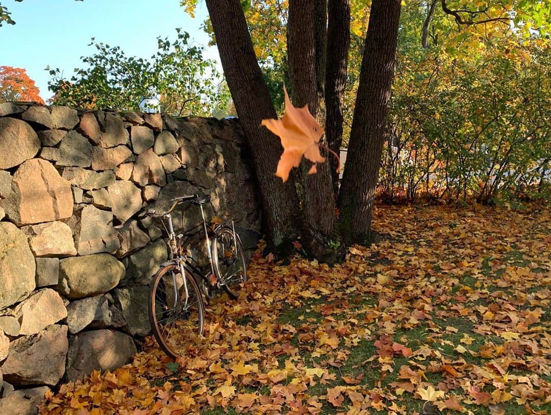 田中亜土夢さんのインスタグラム写真 - (田中亜土夢Instagram)「自転車と紅葉🍁  #自転車 #紅葉 #ruska #紅葉🍁  #フィンランド #ヘルシンキ #北欧 #北欧好き #北欧に行きたい気持ちを満たそう  #Finland #Helsinki」10月3日 1時17分 - atom_tanaka_official
