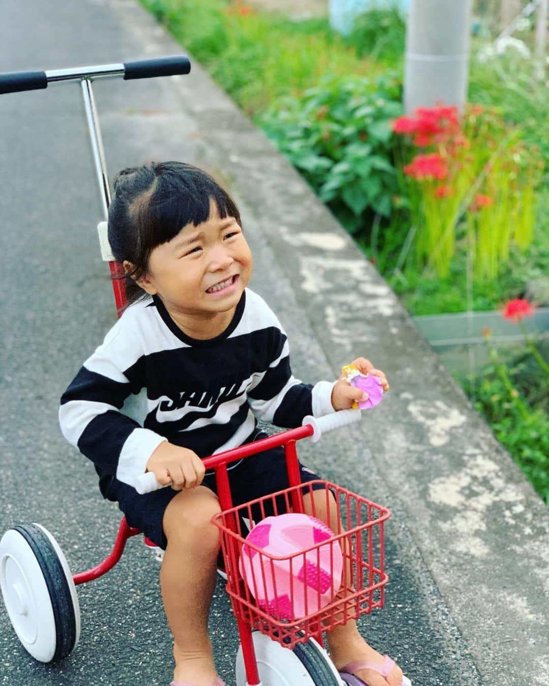 藤井惠さんのインスタグラム写真 - (藤井惠Instagram)「さくちゃんと三輪車☺️」10月3日 1時24分 - megumi_fujii